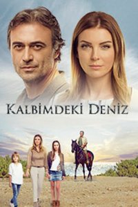 Турецкий сериал Дениз в моём сердце 2 сезон 2 серия Постер Дениз в моём сердце 2 сезон 2 серия