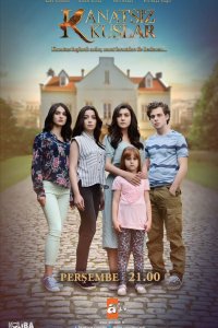 Турецкий сериал Птицы без крыльев 1 сезон 22 серия Постер Птицы без крыльев 1 сезон 22 серия