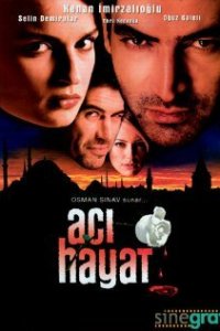 Боль жизни 2005 смотреть онлайн турецкий сериал Постер Боль жизни 2005 года